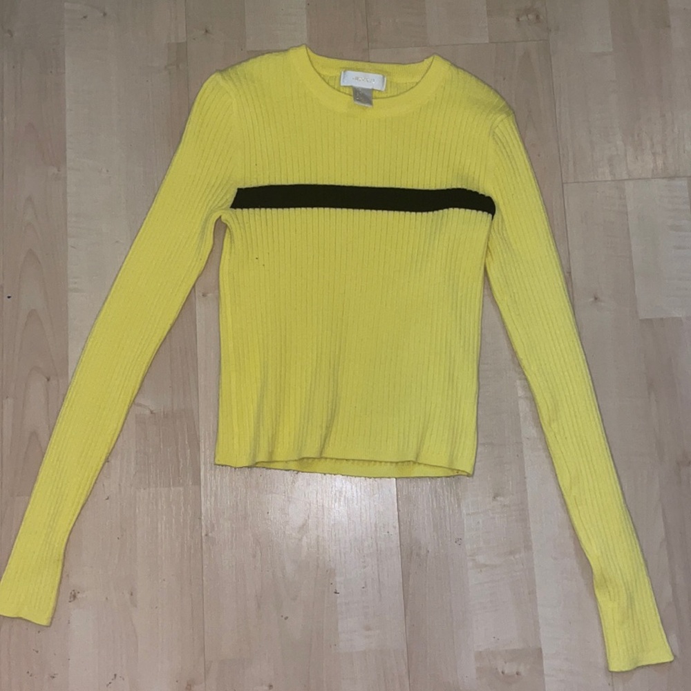 charlie brown looking cropped sweater